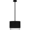 Quoizel Elio Mid Pendant Led Light Matte Black EIO1814MBK - alternate 5